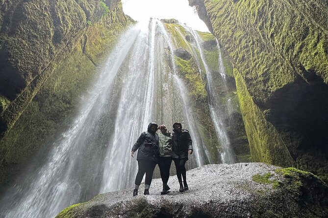 Private South Coast tour / Black Sand Beach, Waterfalls and more - Dyrhólaey: high coastal views and seasonal birdlife