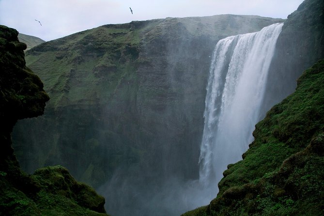 Private South Coast tour in Iceland - Why a private South Coast day can be worth the cost