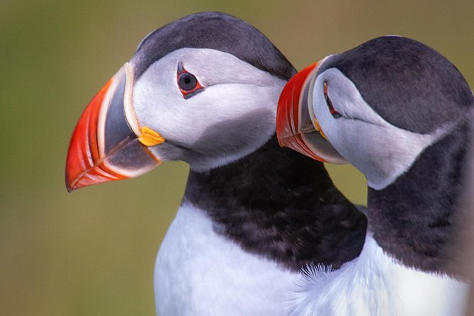 Private South Coast Tour with a Professional Photographer/Guide - Starting from Reykjavik with room for weather changes