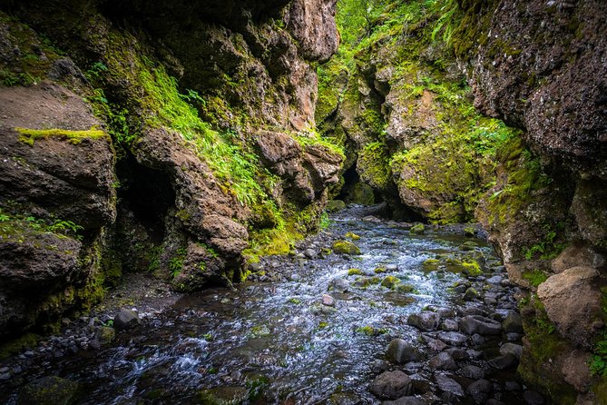 Private Thorsmork Super Jeep Tour - Nauthúsagil Ends With a Waterfall Walk