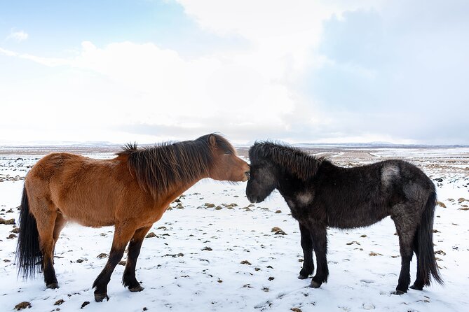 Private Tour Of The Golden Circle With Farm Visits In Iceland - Why This Private Golden Circle Trip Works