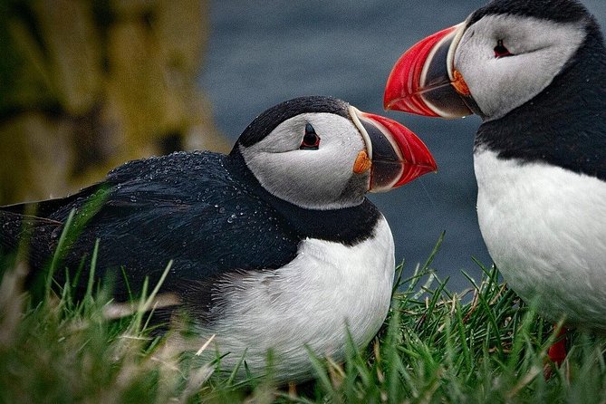 Private Tour: South Coast of Iceland by SUV or Van from Reykjavik - Reynisfjara Beach, basalt columns, and caution
