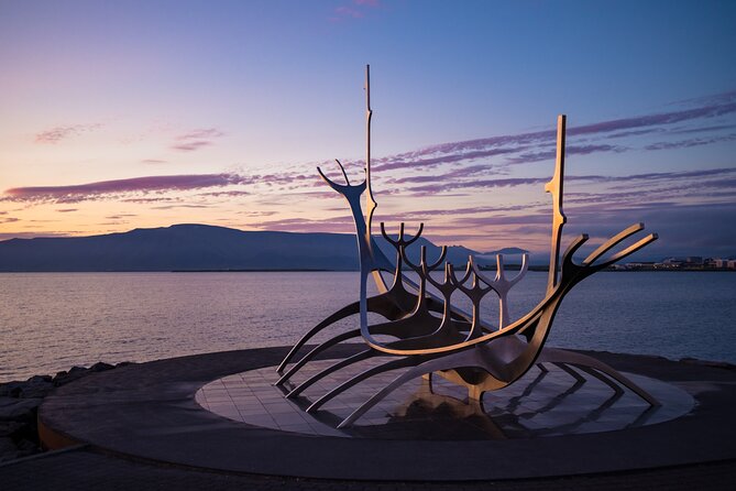 Private Transfer Service from Hotels in Reykjavik to Cruise Ship Terminal - Getting dropped at the cruise check-in