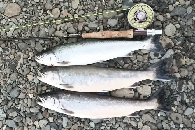 Private Trout and Char Fishing in Icelandic Serenity Experience - Who should book this experience