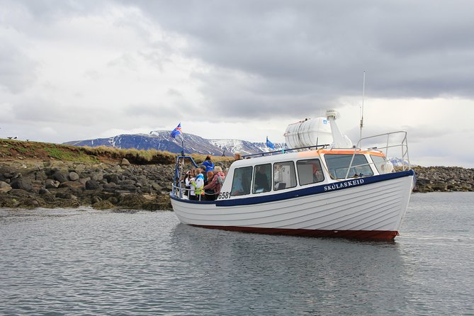 Puffin Cruise with Expert Tour Guide from Reykjavik - Why Akurey is special during puffin season