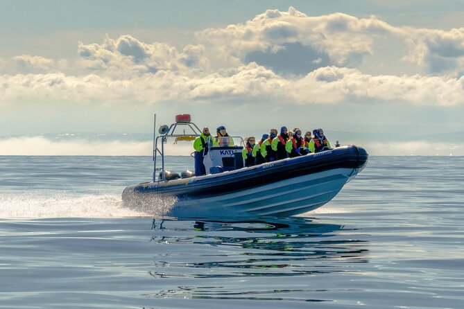 Puffin Watching Speedboat Express - Harpa and Reykjavik from the water