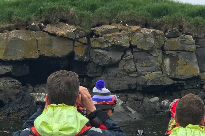 Puffin Watching Speedboat Express - Is $76 a fair price?