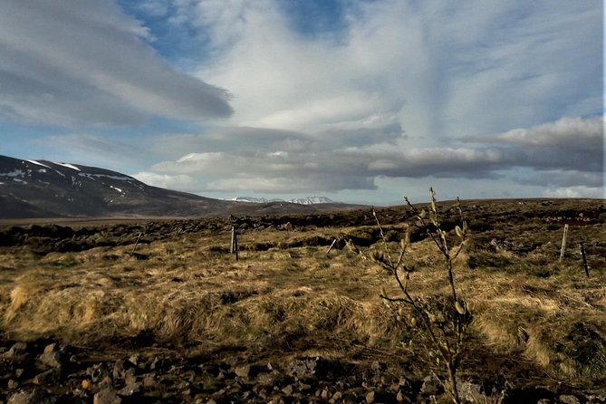 Reykjanes peninsula- Geopark and much more. Private tour - Why Reykjanes Works So Well for a Short Tour