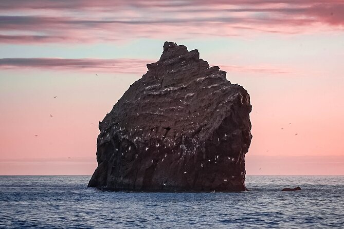 Reykjanes Peninsula Private tour Iceland - Fagradalsfjall and the sight of new lava