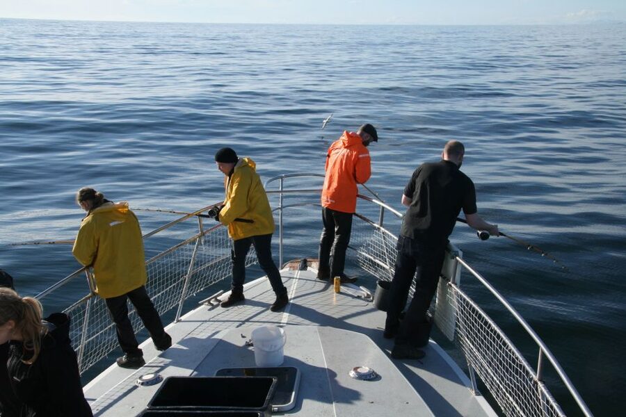Reykjavik: 3-Hour Sea Angling Gourmet Experience Tour - Leaving Reykjavik for Faxaflói