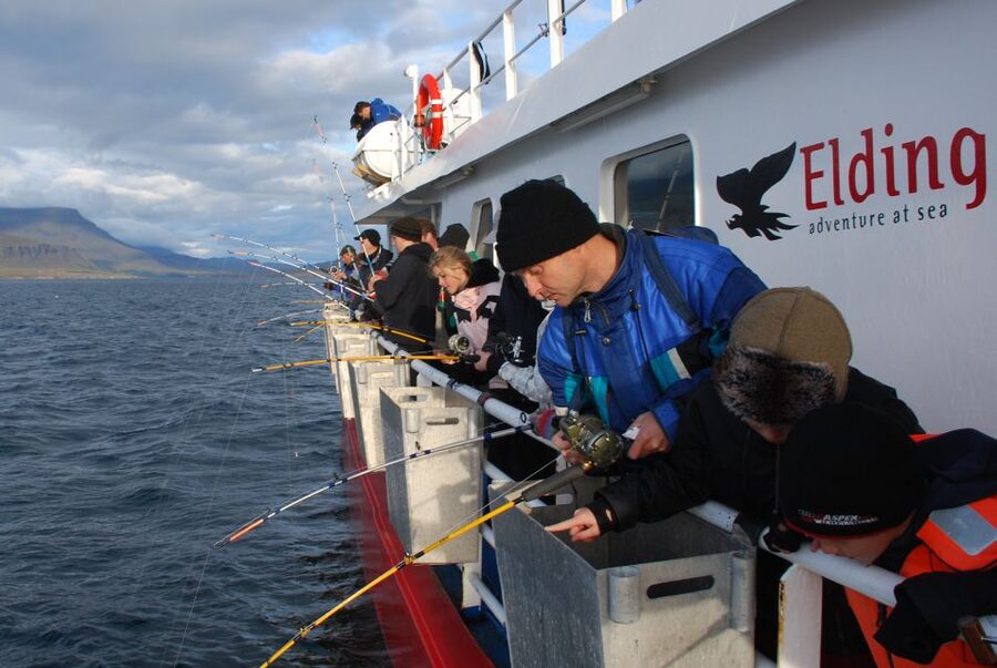 Reykjavik: 3-Hour Sea Angling Gourmet Experience Tour - Is $176 a fair price?