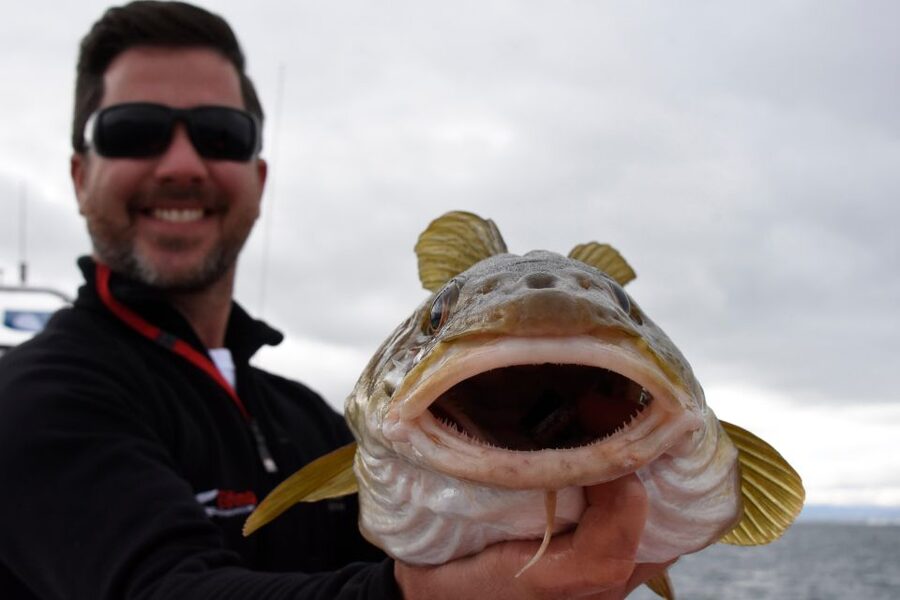 Reykjavik: 3-Hour Sea Angling Gourmet Experience Tour - What to bring and what to leave behind