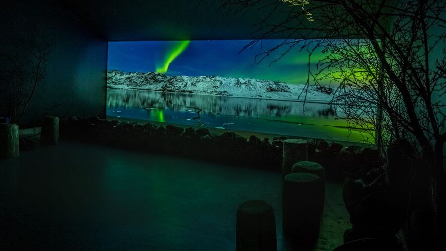 Reykjavik: Aurora Reykjavik The Northern Lights Center Entry - The 30-minute film in the cinema room