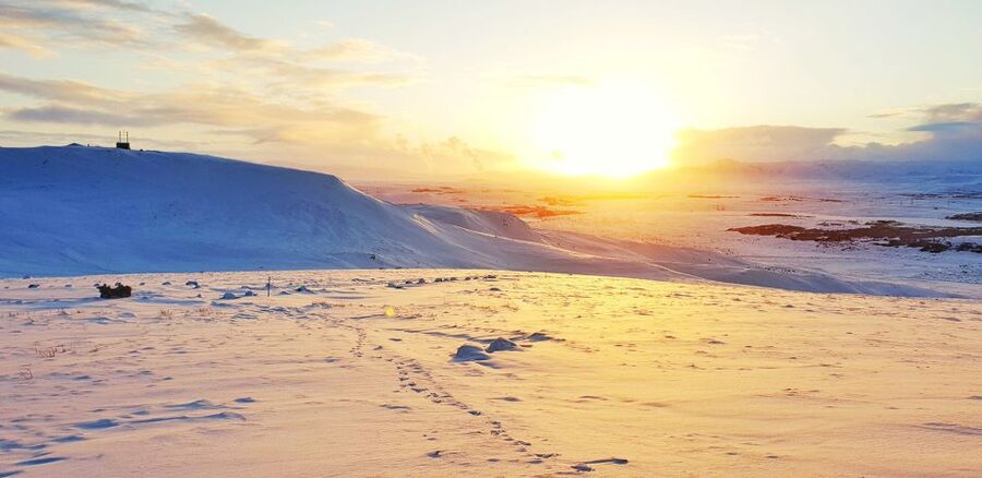 Reykjavik: Buggy Safari Tour with Hotel Transfers - Key points to know before you book