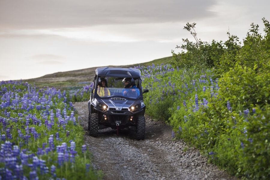 Reykjavik: Buggy Safari Tour with Hotel Transfers - Who should choose this ride?