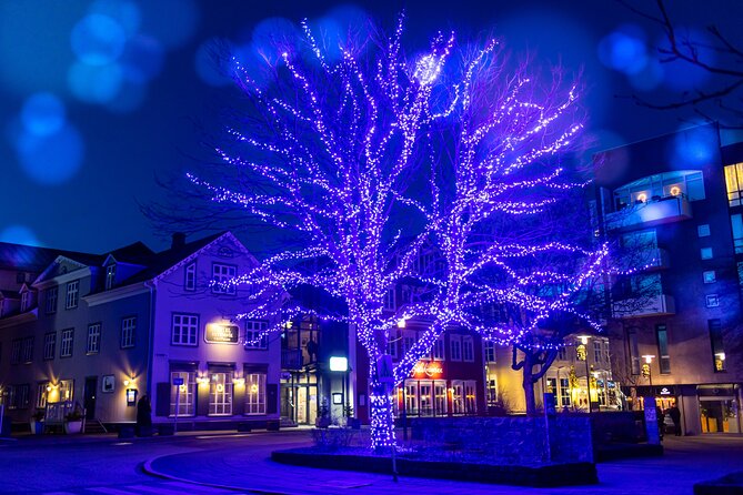 Reykjavik Christmas Walking Tour - Litla Jolabudin for ornaments and gifts