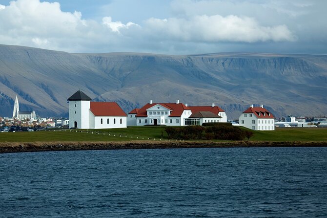 Reykjavik City Private Tour - The price: good value for the right group