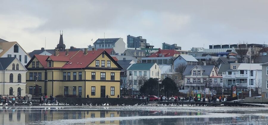 Reykjavik City Private Tour: Perlan, Arbaer & City Landmarks - Perlan’s observation deck, exhibits, and ice cave