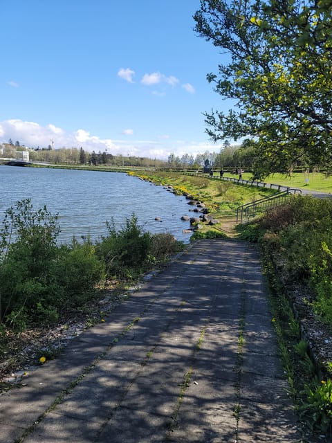Reykjavik City Private Tour: Perlan, Arbaer & City Landmarks - Is $707 good value for up to three people?