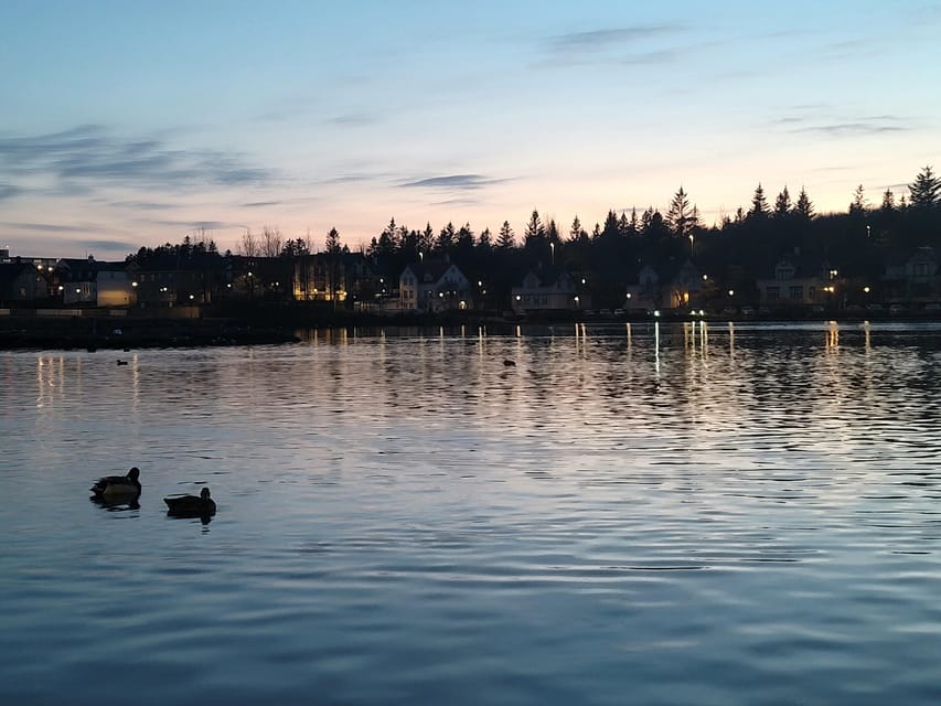 Reykjavik City Private Tour: Perlan, Arbaer & City Landmarks - Who will enjoy this tour most?