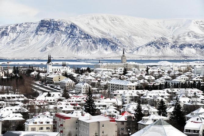 Reykjavik City Walking Tour - Parliament, the cathedral, and Reykjavik’s beginnings