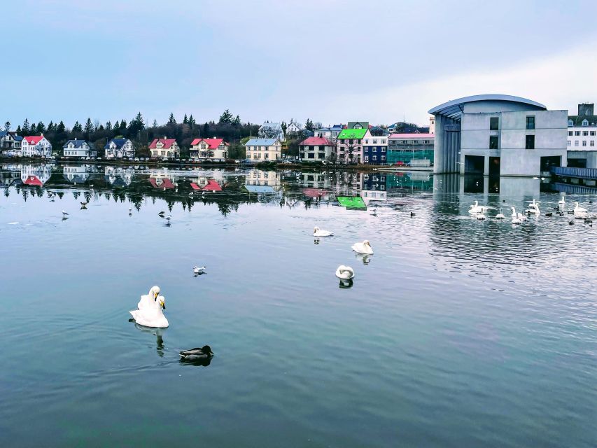 Reykjavik: City Walking tour in Small Group with Local Guide - Weather, pace, and comfort
