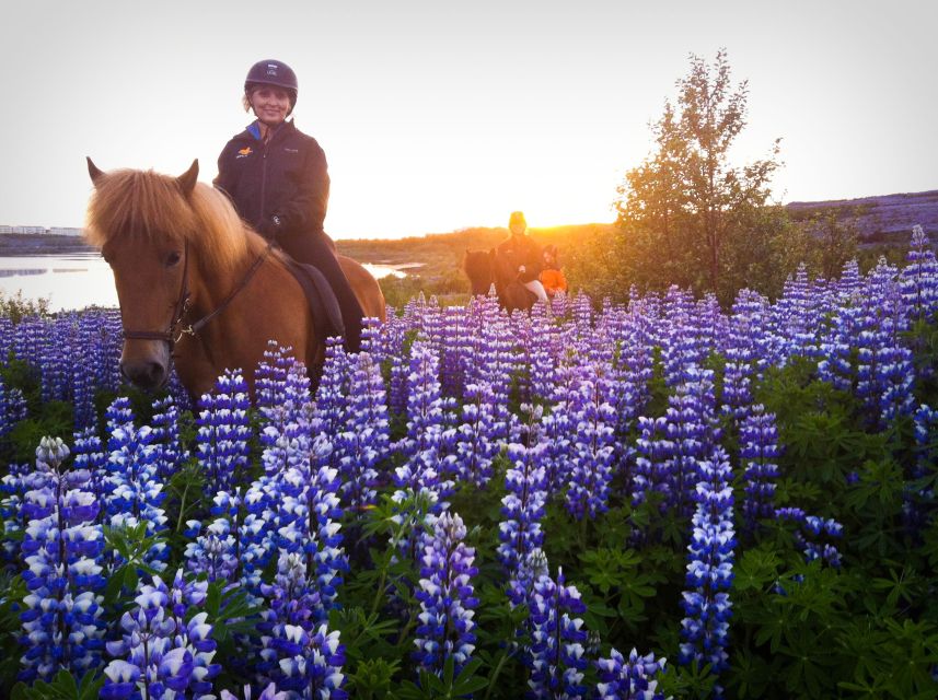 Reykjavik: Evening Sleipnir Horse Riding Tour with Pickup - What makes this evening ride worth considering