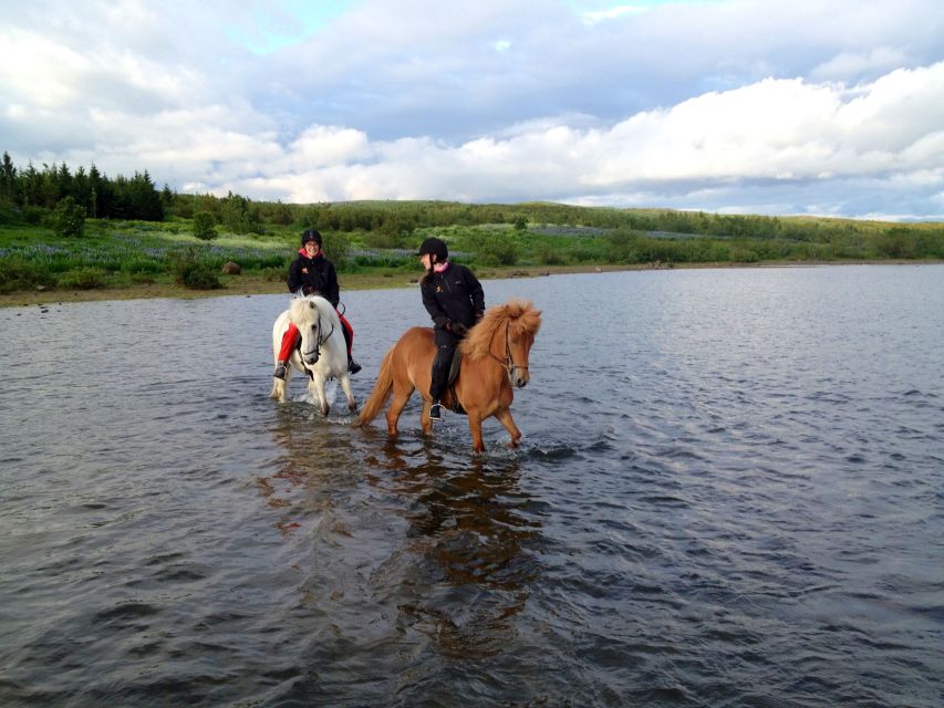 Reykjavik: Evening Sleipnir Horse Riding Tour with Pickup - A small group with real guide support