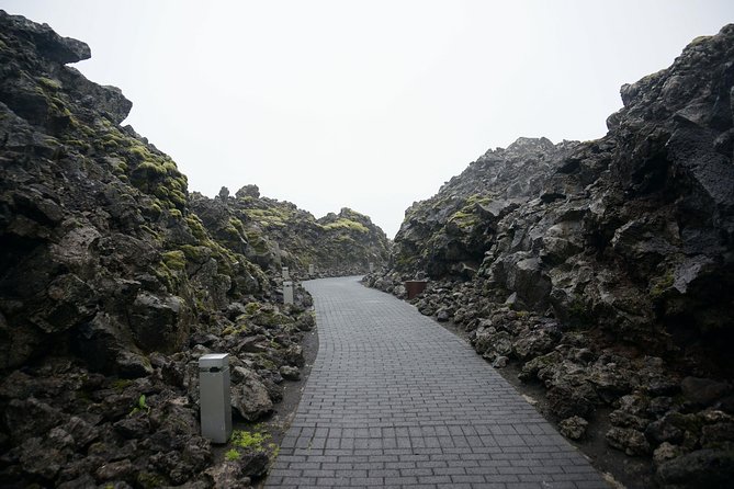 Reykjavik Excursion & Blue Lagoon. Private Day Tour - What the private vehicle adds