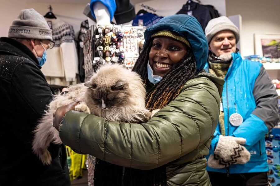 Reykjavik: Feline-Focused City Walking Tour - Why this unusual Reykjavik tour works