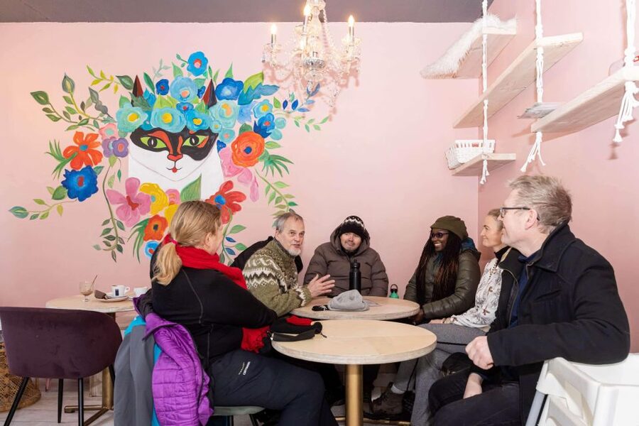 Reykjavik: Feline-Focused City Walking Tour - Kattakaffihúsið: the tour’s warm center