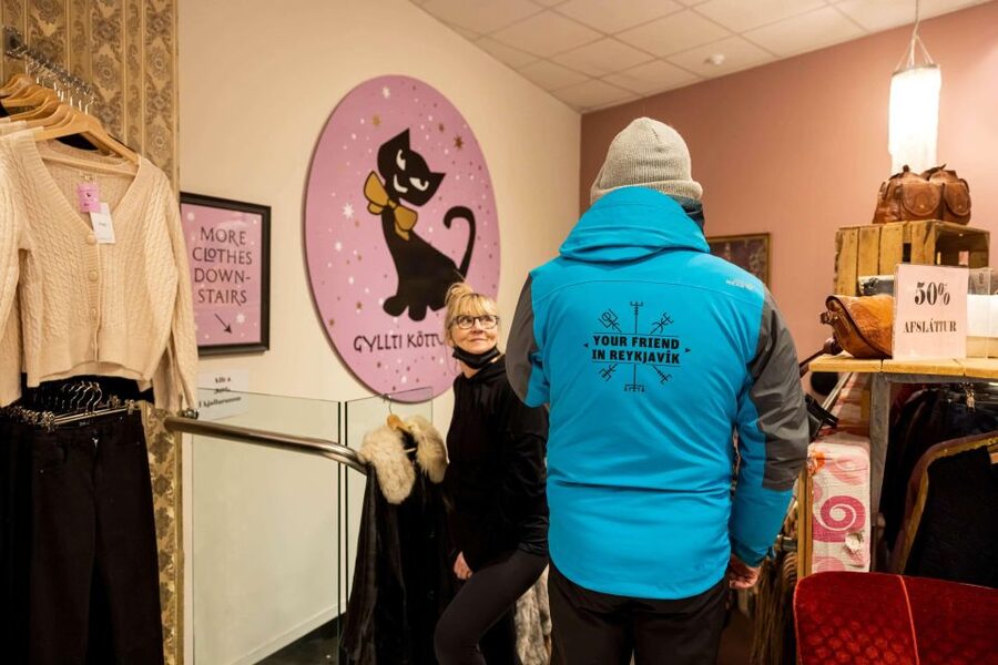 Reykjavik: Feline-Focused City Walking Tour - The guides make or break a small walking tour