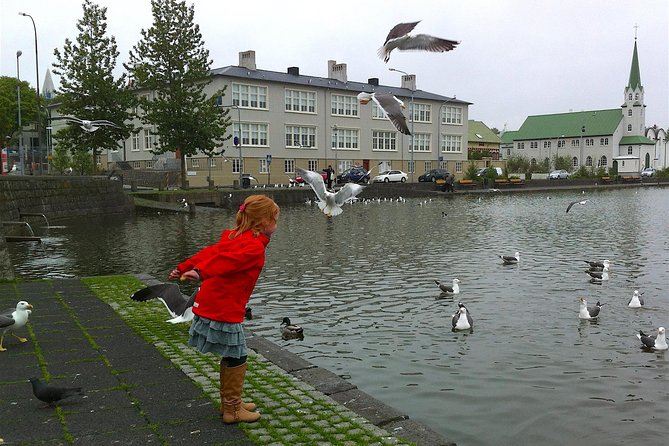 Reykjavik Food Tour and City Walk - PRIVATE TOUR - Is $325.30 per person a fair price?