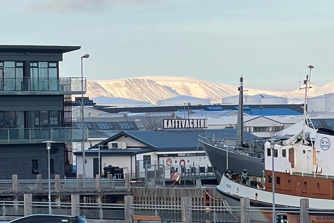 Reykjavik Food Tour - Old Harbor Walking Tour - Why this Reykjavik food walk is different