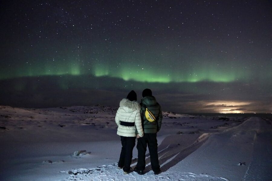 Reykjavík: Golden Circle, Blue Lagoon, and Aurora Tour - Blue Lagoon: the day’s best chance to warm up