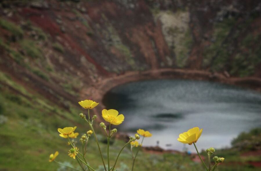 Reykjavík: Golden Circle Geological Jeep Day Trip - Steam, Stokkur, and lunch in Haukadalur