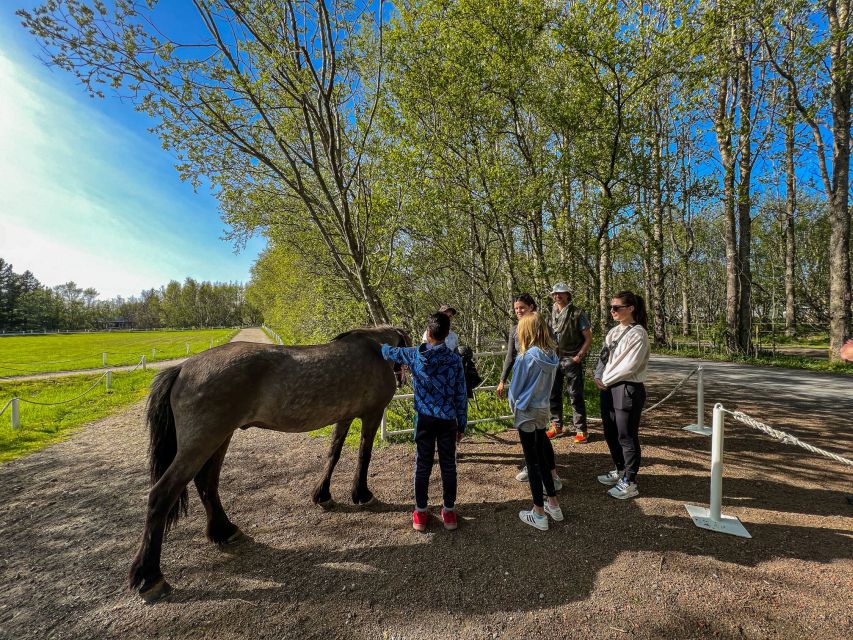 Reykjavik: Golden Circle, Silfra Snorkeling, and Farm Lunch - Who should book this combination