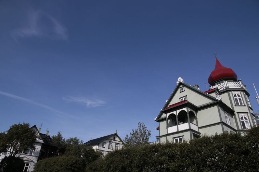 Reykjavik: Guided City Walking Tour - Lake Tjornin, Icelandic snacks, and a proper pause