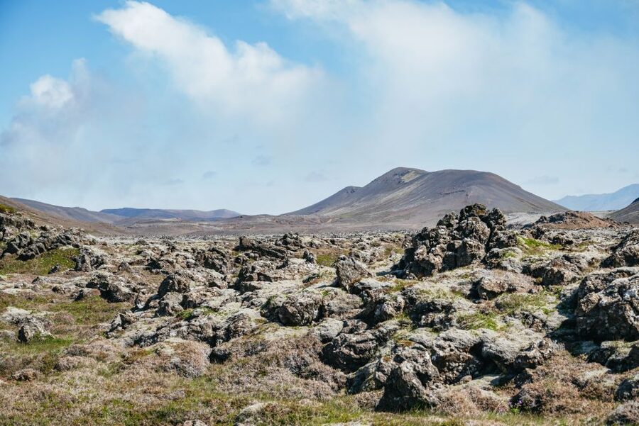 Reykjavik: Guided Tour to Volcano and Reykjanes Geopark - What the fresh lava really offers
