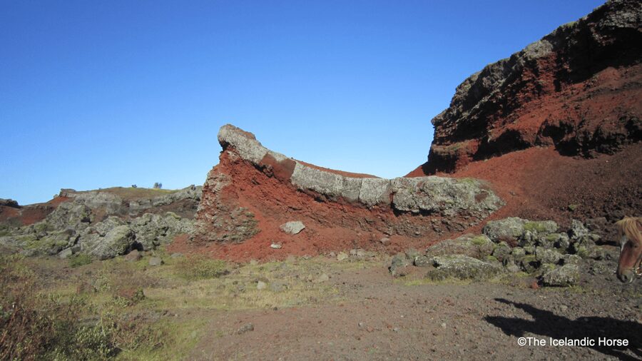 Reykjavík: Horse Riding Tours - Key things to know before you book