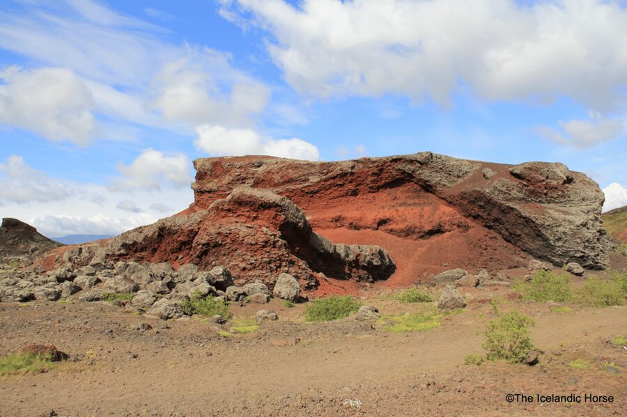 Reykjavík: Horse Riding Tours - Why this short ride feels distinctly Icelandic