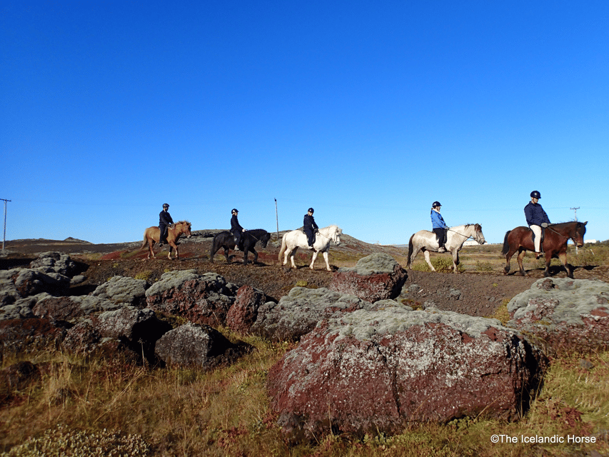 Reykjavík: Horse Riding Tours - The first 10 minutes teach you how to ride