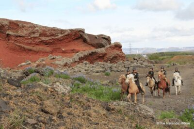 Horse Riding Tours