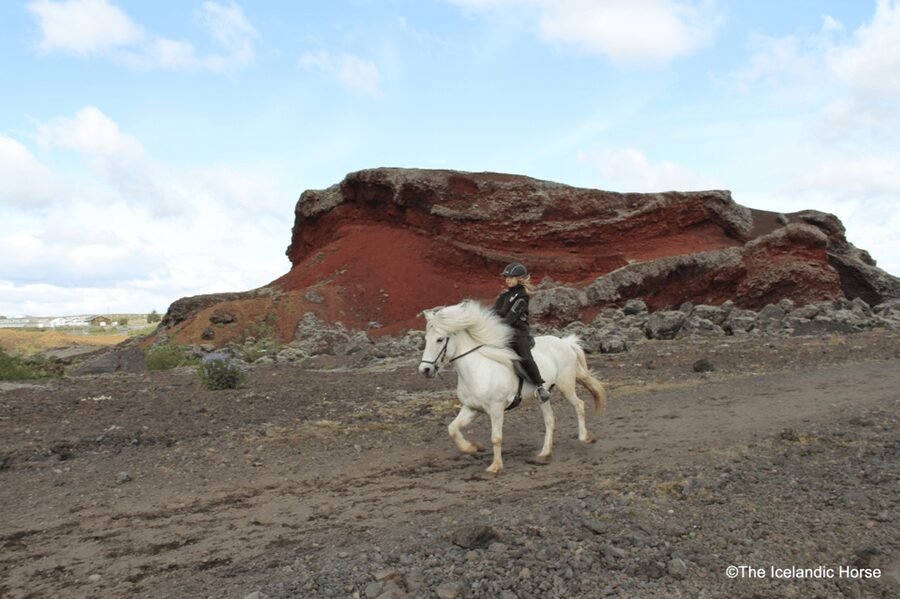 Reykjavík: Horse Riding Tours - Friendly guides who keep the mood relaxed