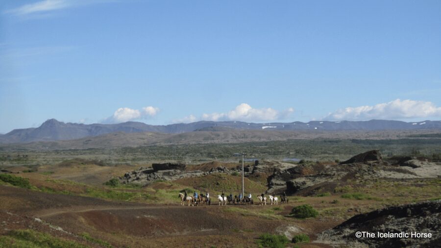 Reykjavík: Horse Riding Tours - Is $200 a fair price?