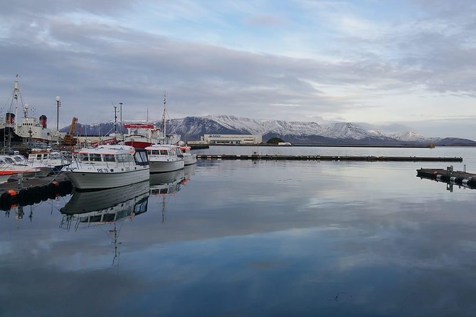 Reykjavik Main Sights and Hidden Spots: A Self-Guided Audio Walk - Harpa gives the walk a modern turn