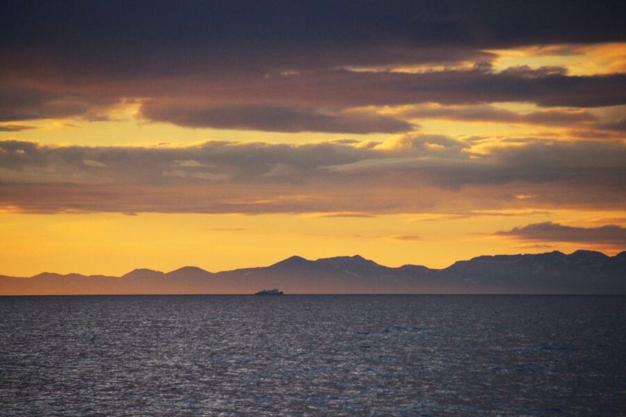Reykjavík: Midnight Sun Whale Watching Cruise - The midnight sun changes the whole mood