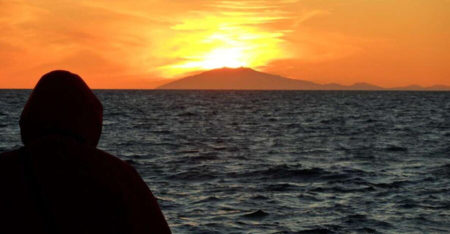 Reykjavik: Midnight Sun Whale Watching Tour - From Ægisgarður 5 to Faxafloi Bay