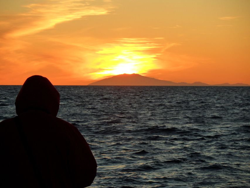 Reykjavik: Midnight Sun Whale Watching Tour - Why the evening departure works