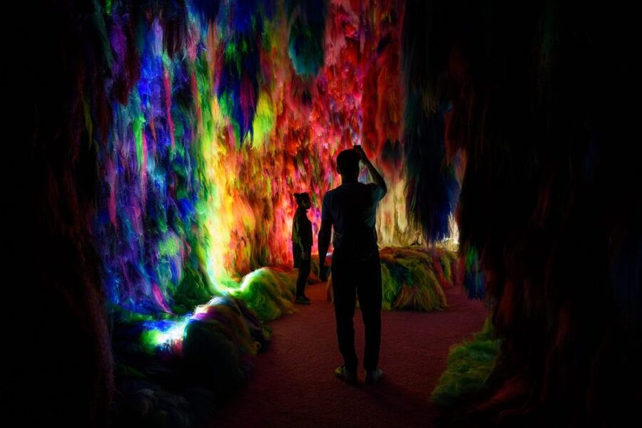 Reykjavík: Multi-Sensory Art Installation Chromo Sapiens - How long should you plan for?